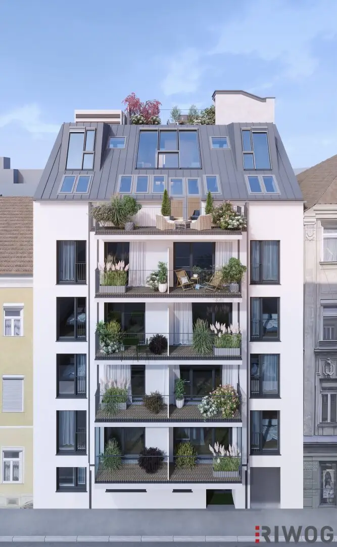 Top 4