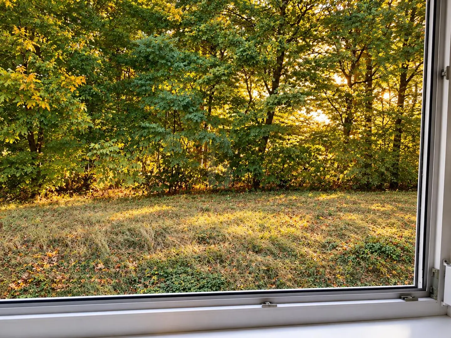 Lichtdurchflutete Wohnung in ruhiger naturnaher Lage