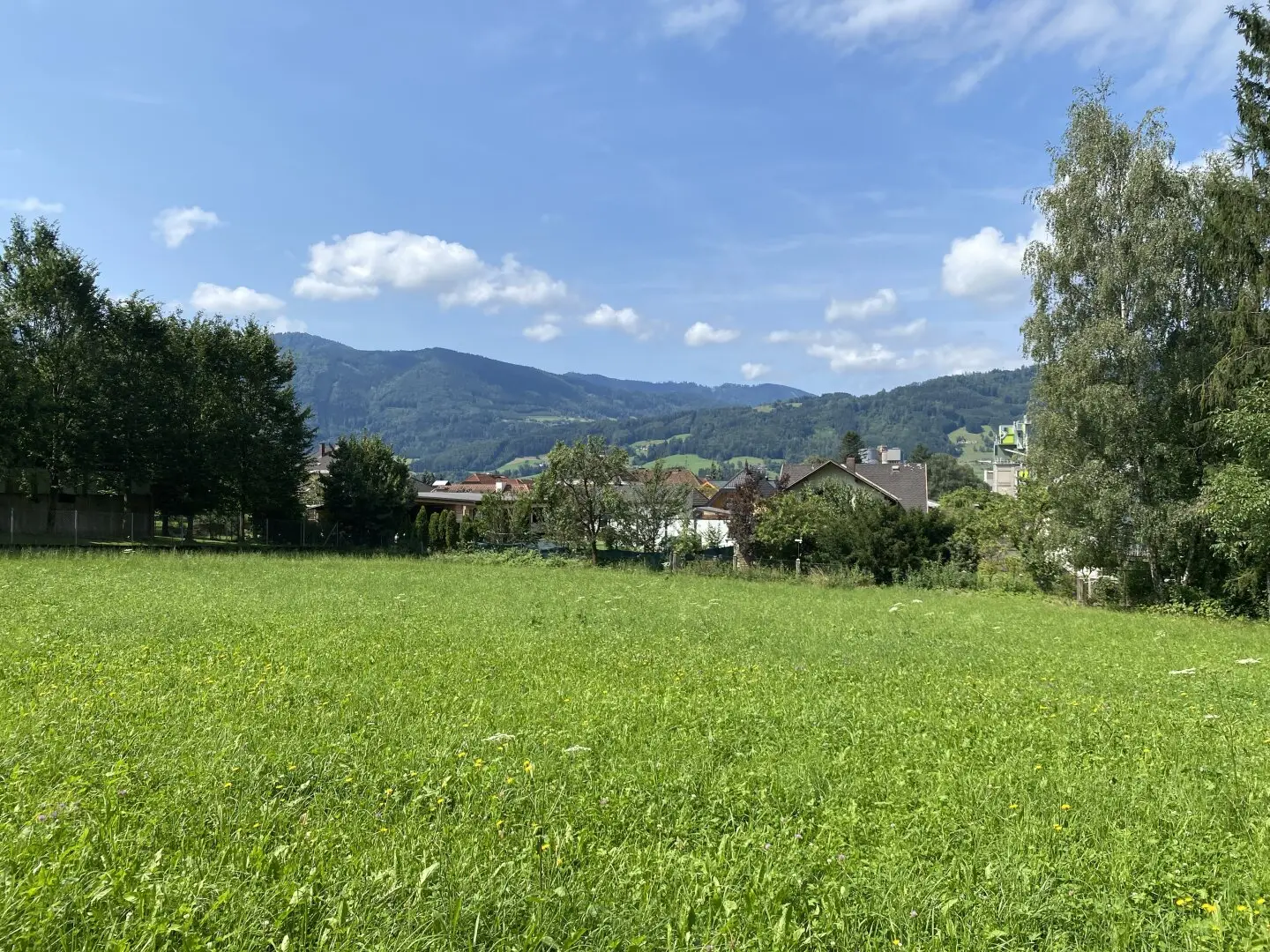 Immobilienbild 4