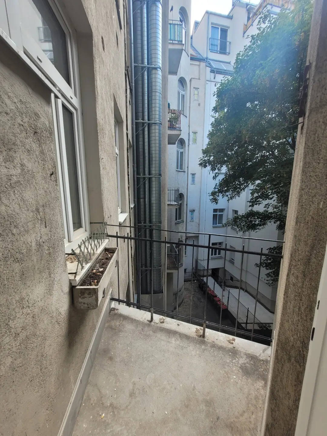 Bright renovated Altbauwohnung with high ceilings