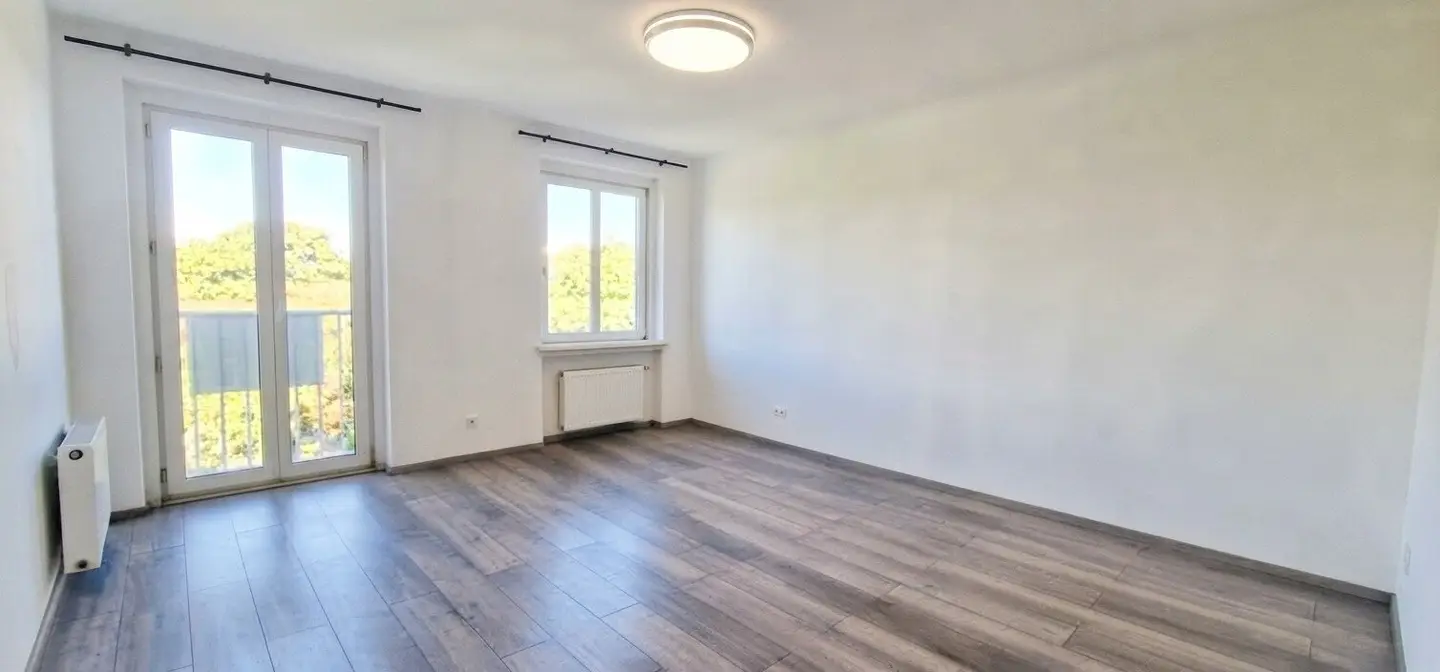 Newly renovated | 2 rooms | approx. 55 m² living area | French balcony with park view | ready to move in