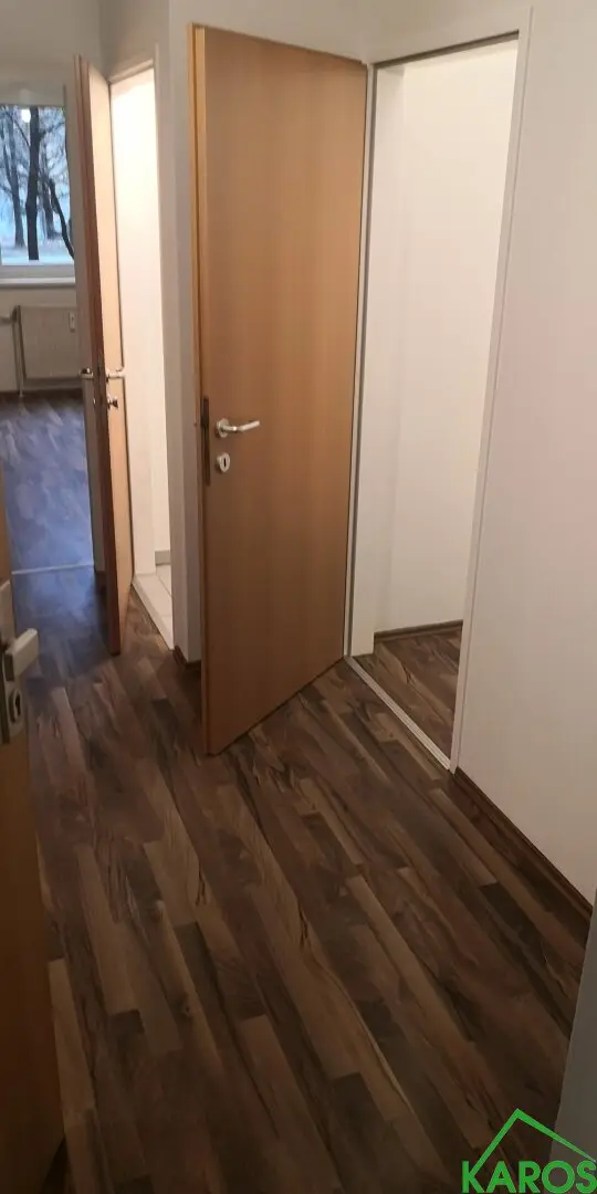 NEWLY RENOVATED STARTER APARTMENT WITH PARK VIEW