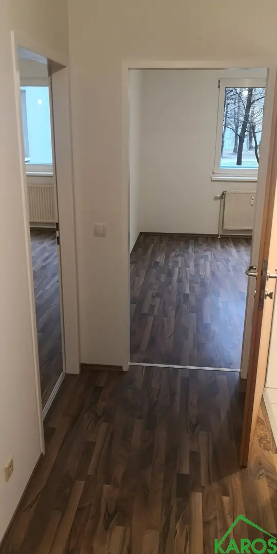NEWLY RENOVATED STARTER APARTMENT WITH PARK VIEW