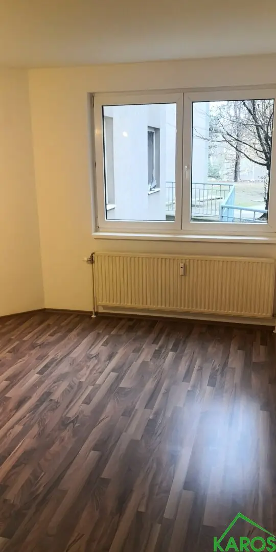 NEWLY RENOVATED STARTER APARTMENT WITH PARK VIEW