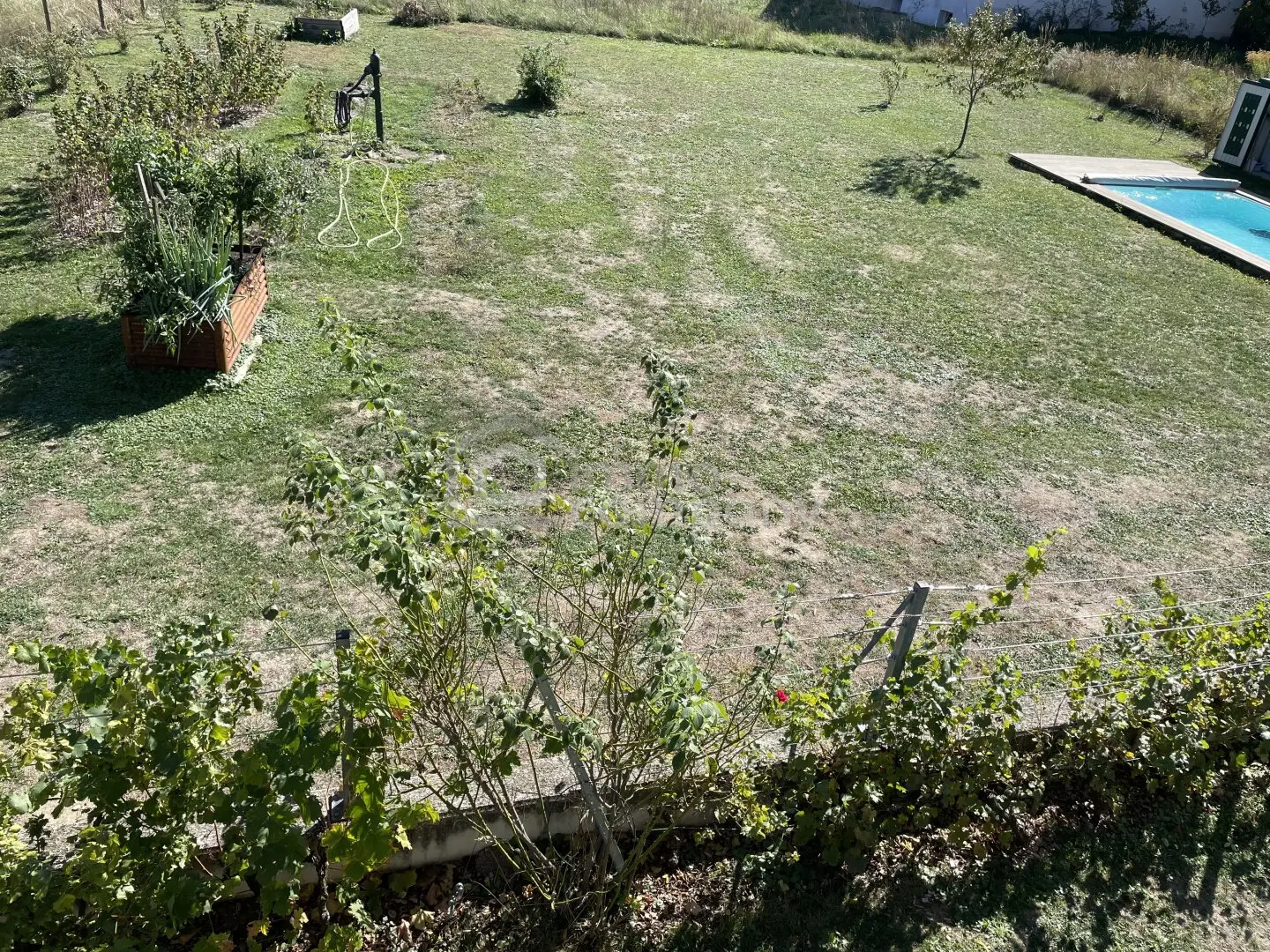Das Badevergnügen ist schon da! 765 m² Baugrundstück mit Pool und Burgblick in Seebenstein