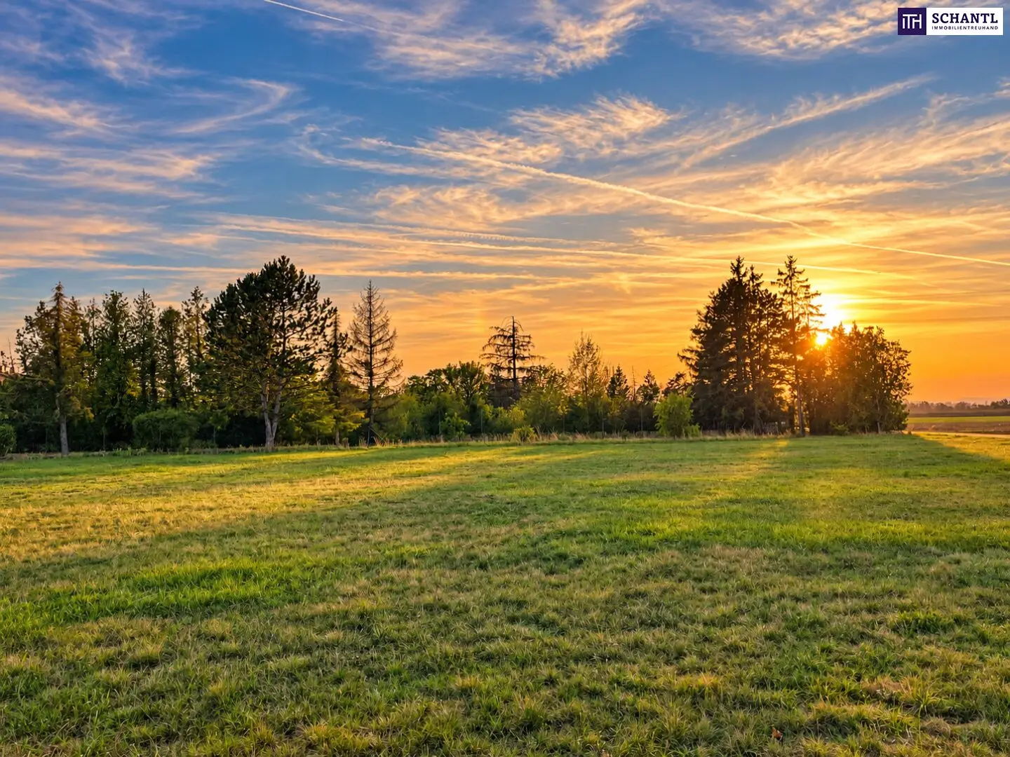 Your piece of freedom in the green, 1,140 m² for new living ideas!