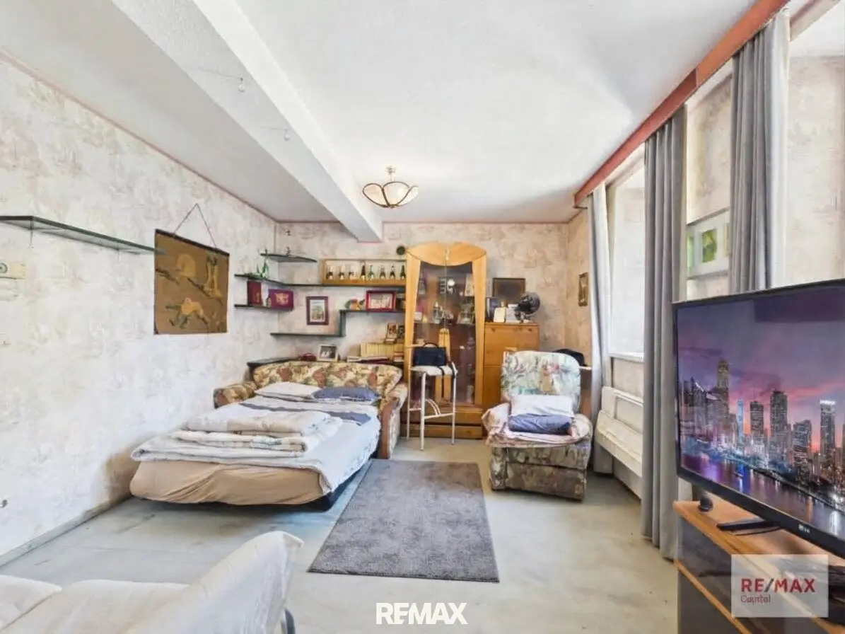 1-room apartment in need of renovation near Floridsdorfer Spitz