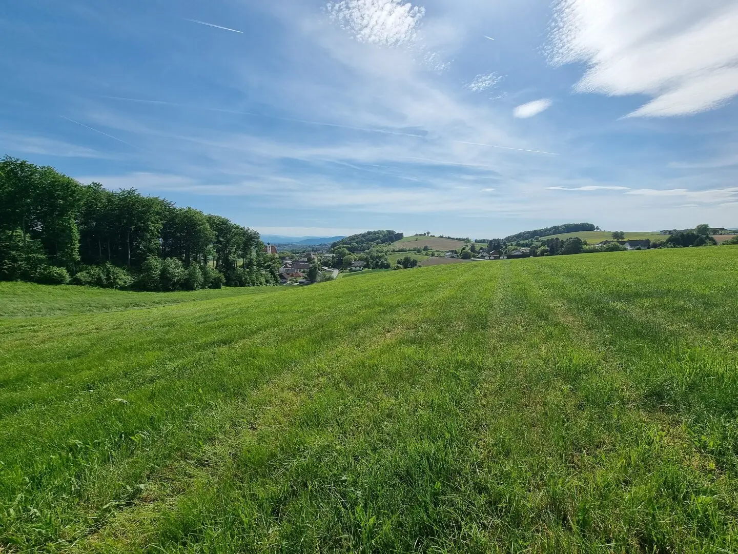 Exklusive Agrarflächen im Dunkelsteinerwald