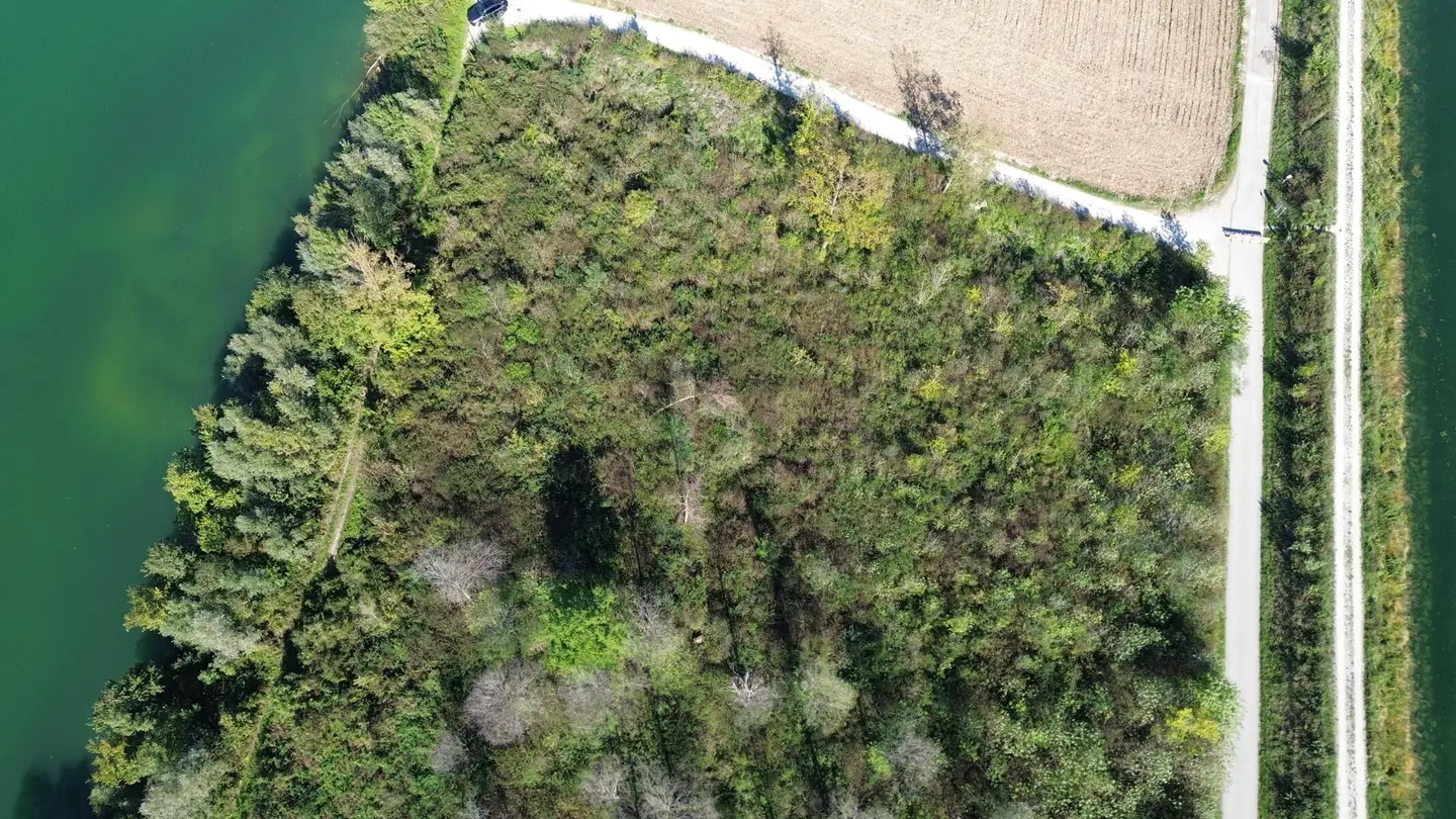 Naturnahe Fläche mit vielseitigem Potenzial Anlegerwohnung