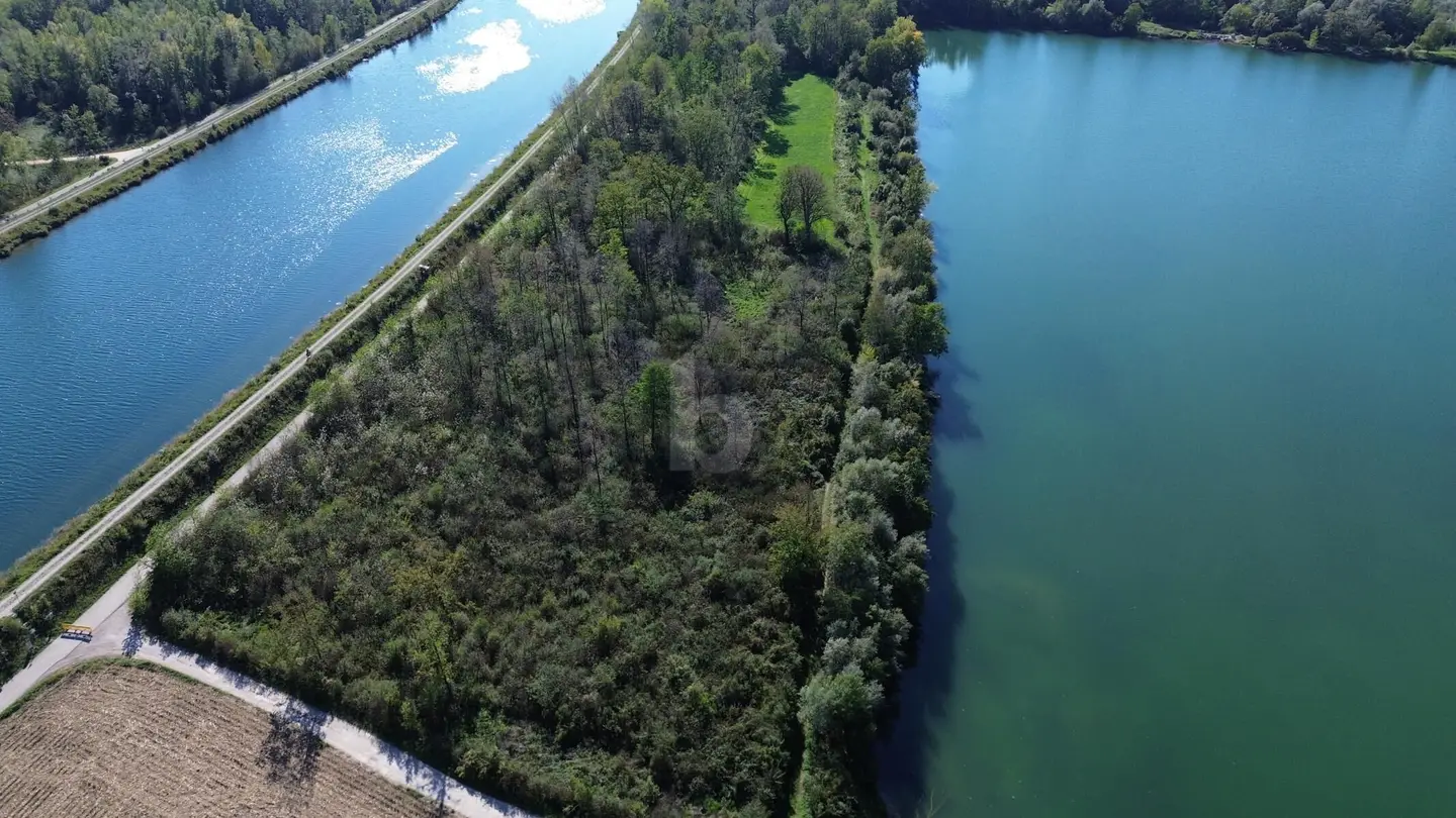 Naturnahe Fläche mit vielseitigem Potenzial Anlegerwohnung
