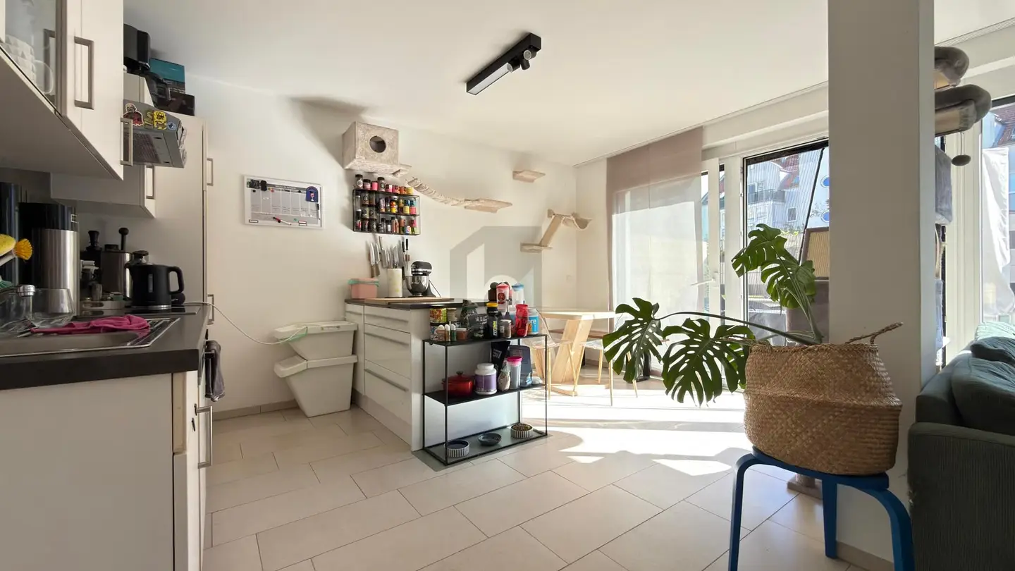 Erdgeschosswohnung barrierefrei mit großer Südterrasse