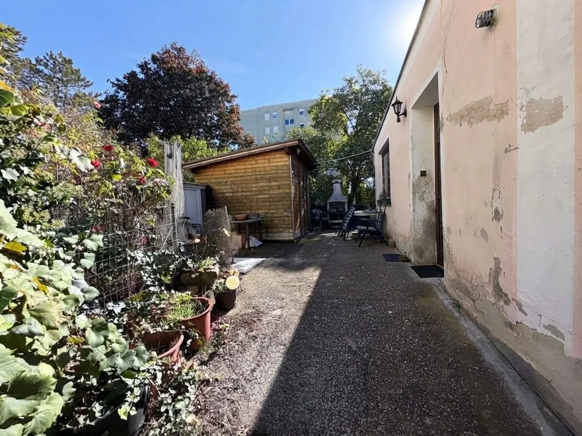 Bargain: House in need of renovation with plot