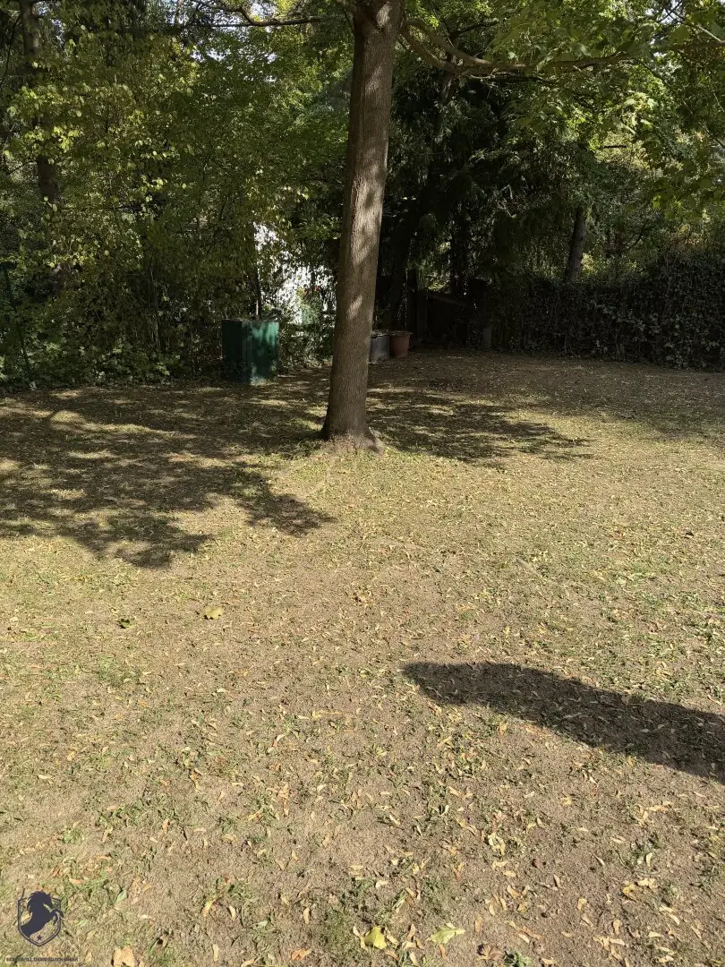 Attractive income property investment in sought-after Döblinger green location