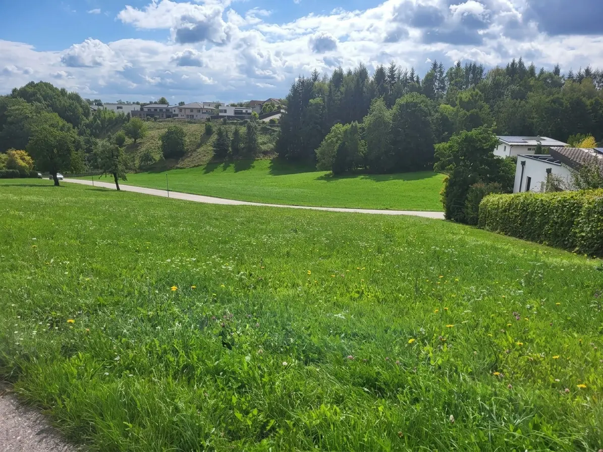 Scenic apartment without building obligation
