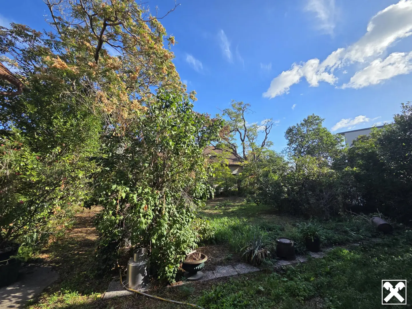 Hidden building plot near vineyards apartment