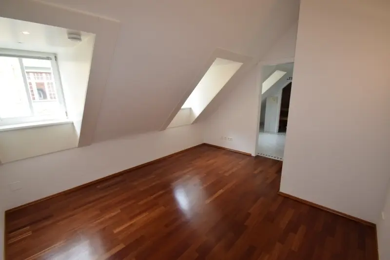 Dachgeschosswohnung mit privatem Liftausstieg und Dachterrasse