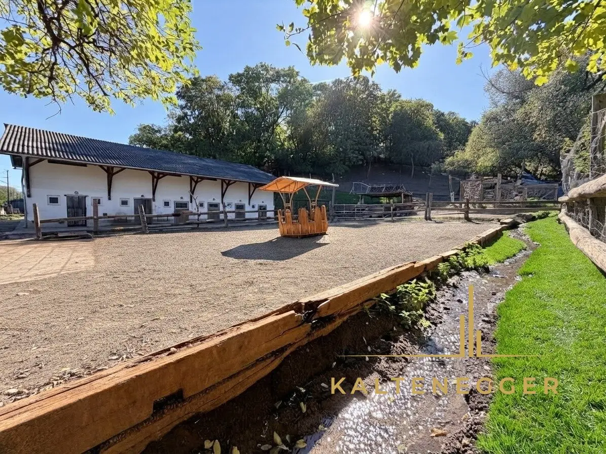 SONJAS RANCH - Pferdehof mit Teich auf Pachtgrund