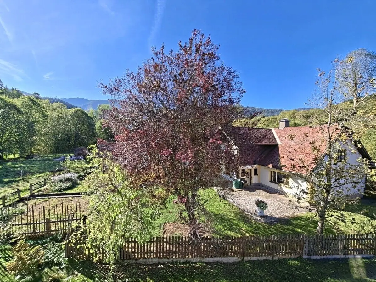 Estate with a total area of 23,600 m², 2 residential houses, outbuildings, utility building, garages