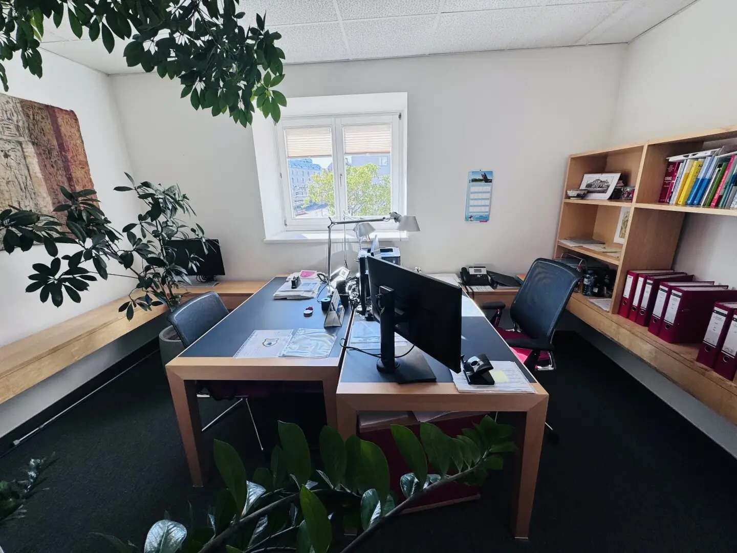 Attractive office in 1190 Vienna – 288 m², 7 rooms, air conditioned, very well maintained