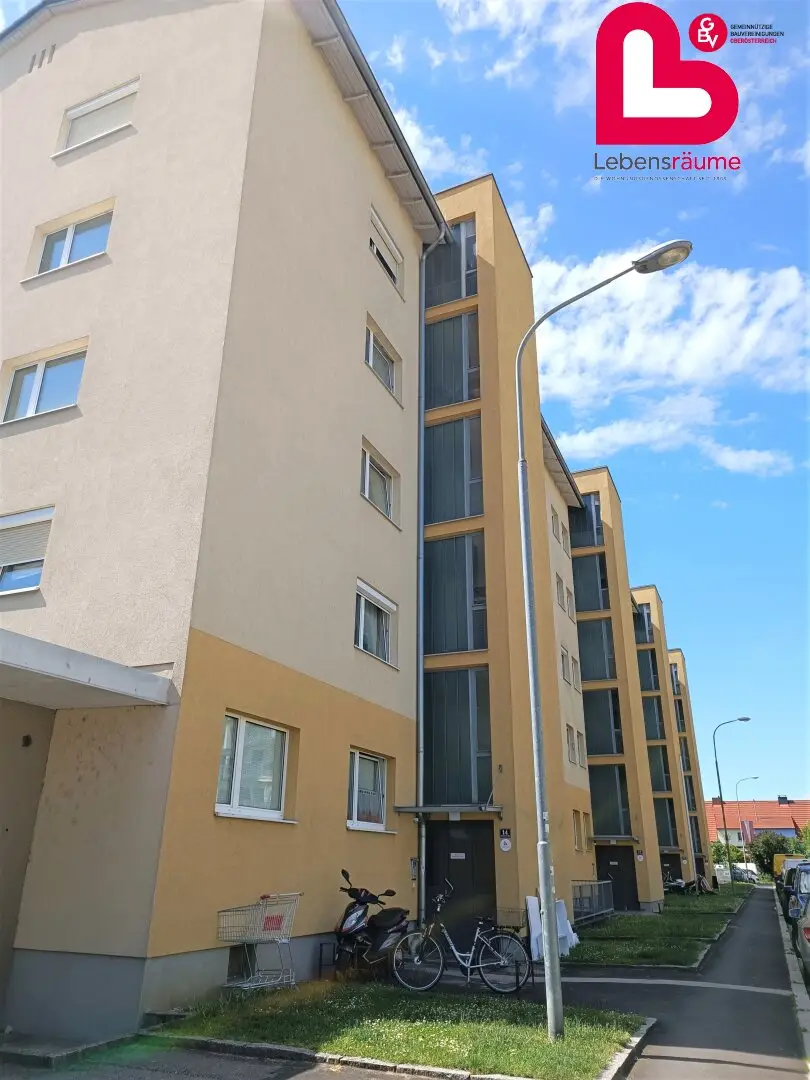 Cozy 2-room apartment in Haid