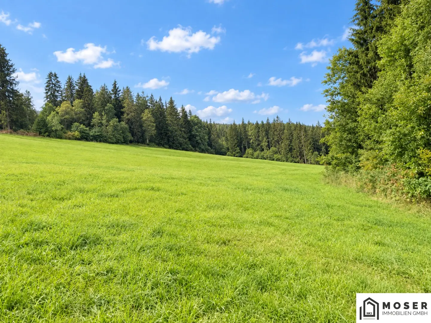 +++ Mühlen bei Neumarkt: ca. 8 ha große landwirtschaftliche Liegenschaft zu verkaufen+++
