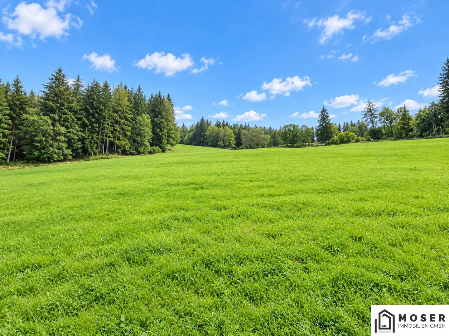 +++ Mühlen bei Neumarkt: ca. 8 ha große landwirtschaftliche Liegenschaft zu verkaufen+++