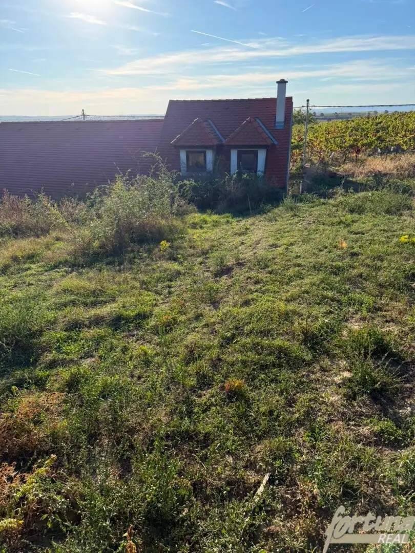Weinkeller mit Garten und herrlicher Aussicht in Haugsdorf
