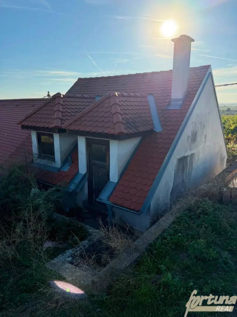 Weinkeller mit Garten und herrlicher Aussicht in Haugsdorf