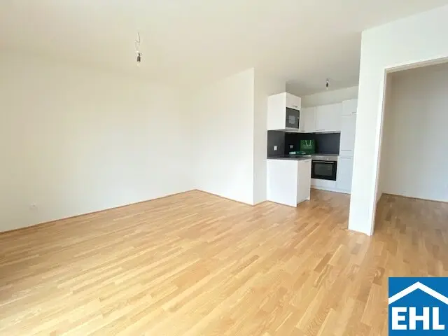 Wohnraum 1.1