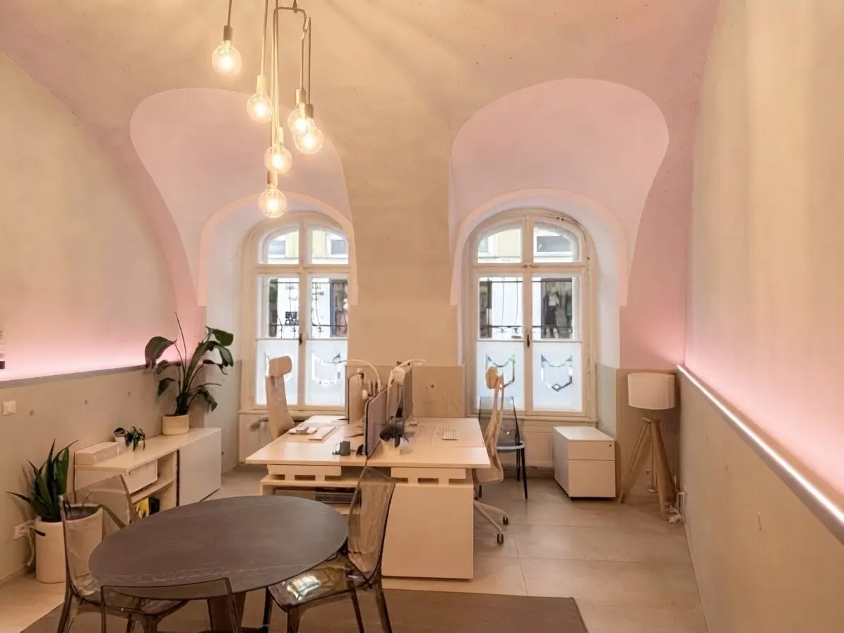 Working under historic vault: Charming ground floor office in prime location between Tuchlauben and Hoher Markt