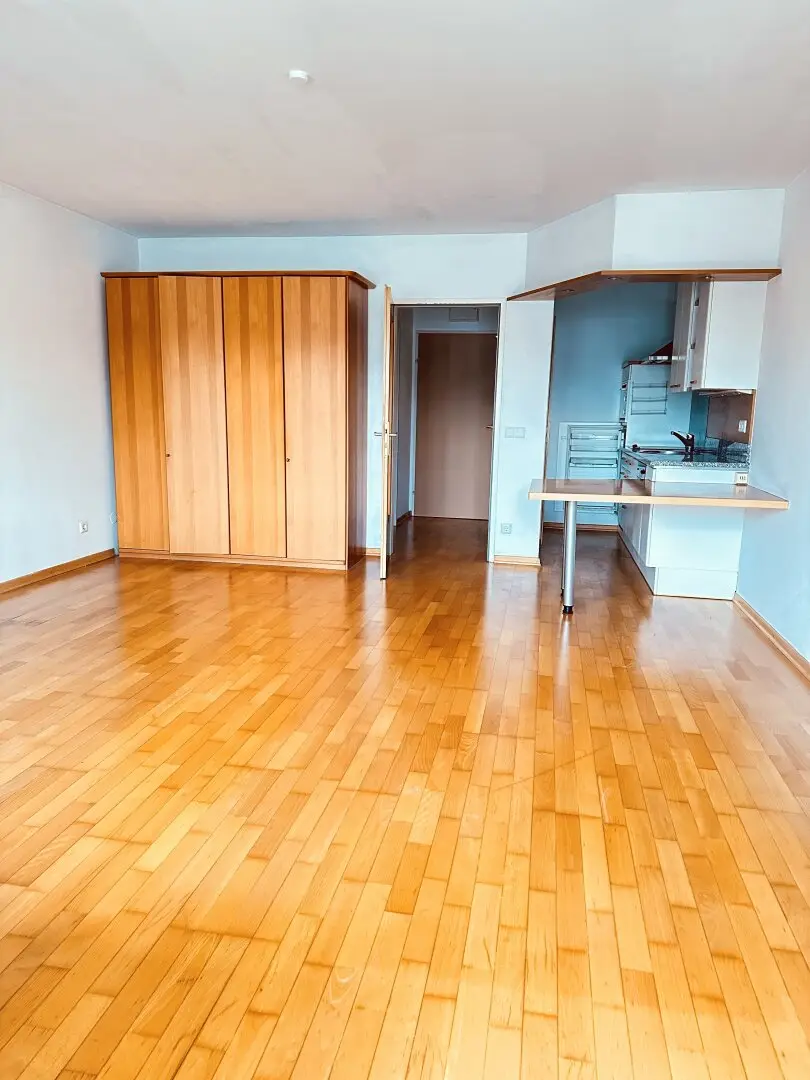 Attractive city apartment with south-facing balcony in central Salzburg location