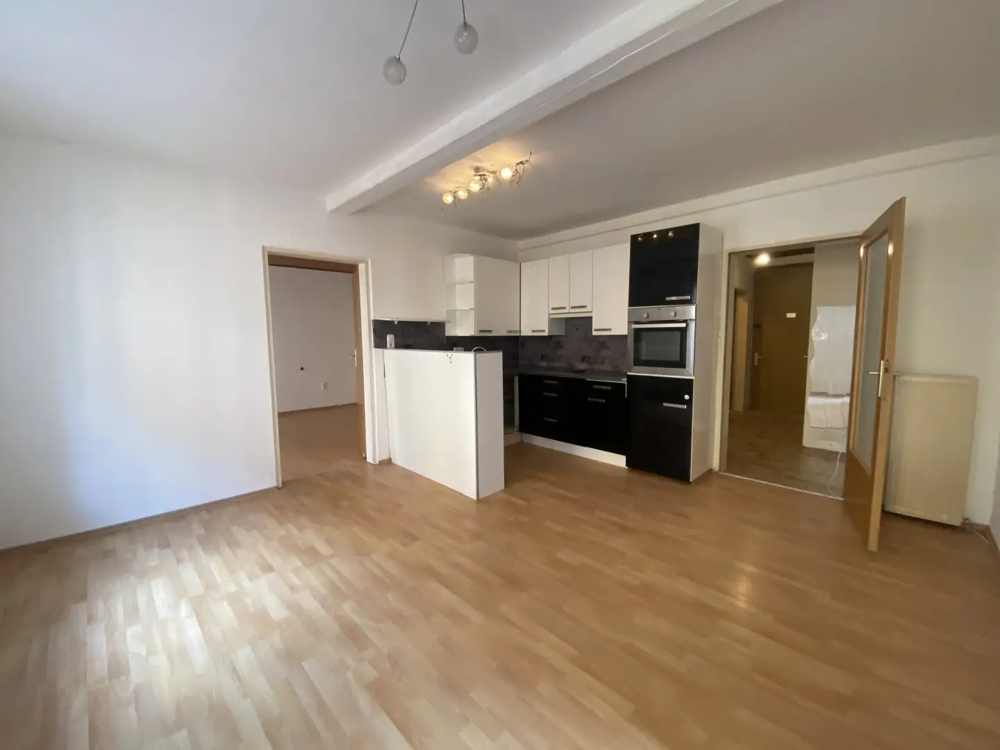 Light filled apartment in renovated period building
