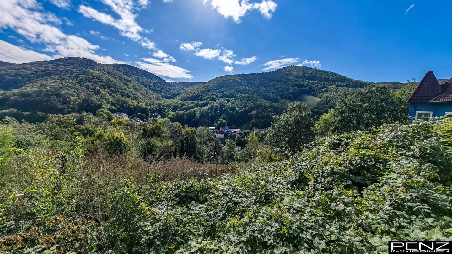 KALTENLEUTGEBEN: Traumhaftes Baugrundstück in Süd-Ost Hanglage nahe der Wiener Stadtgrenze