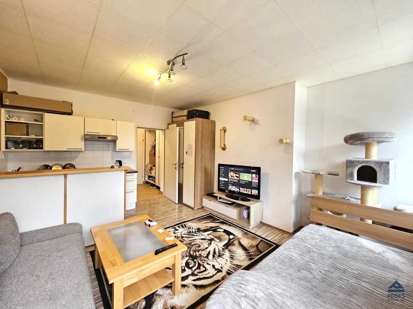 SINGLE: Garconniere in Grödig