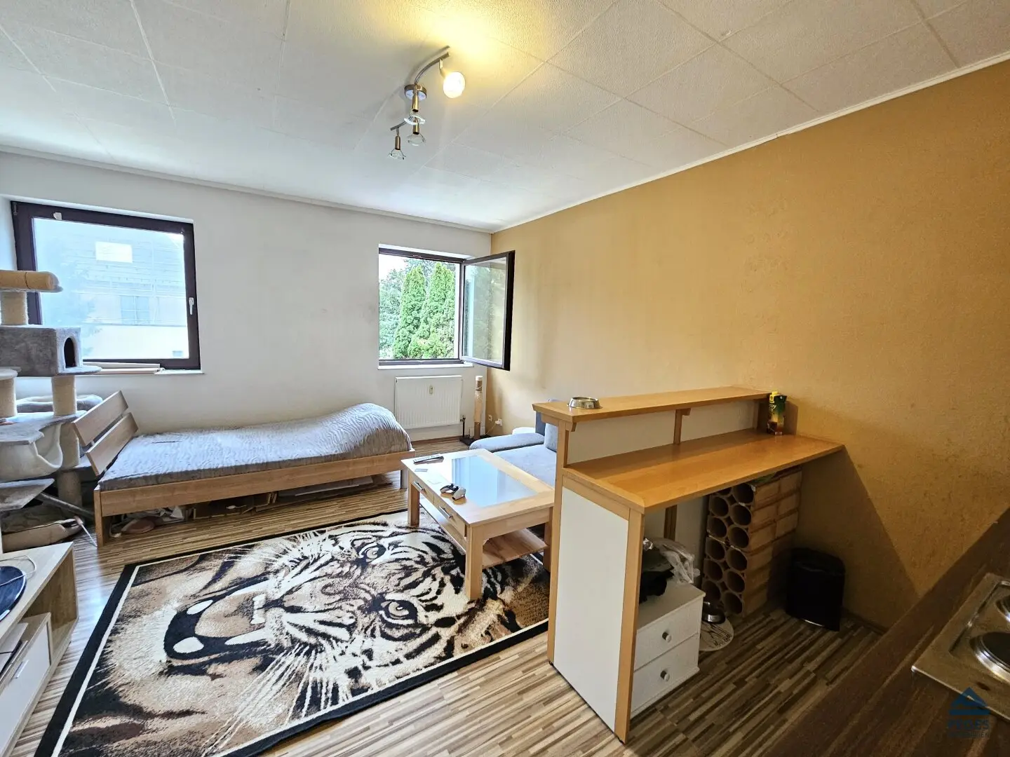 SINGLE: Garconniere in Grödig