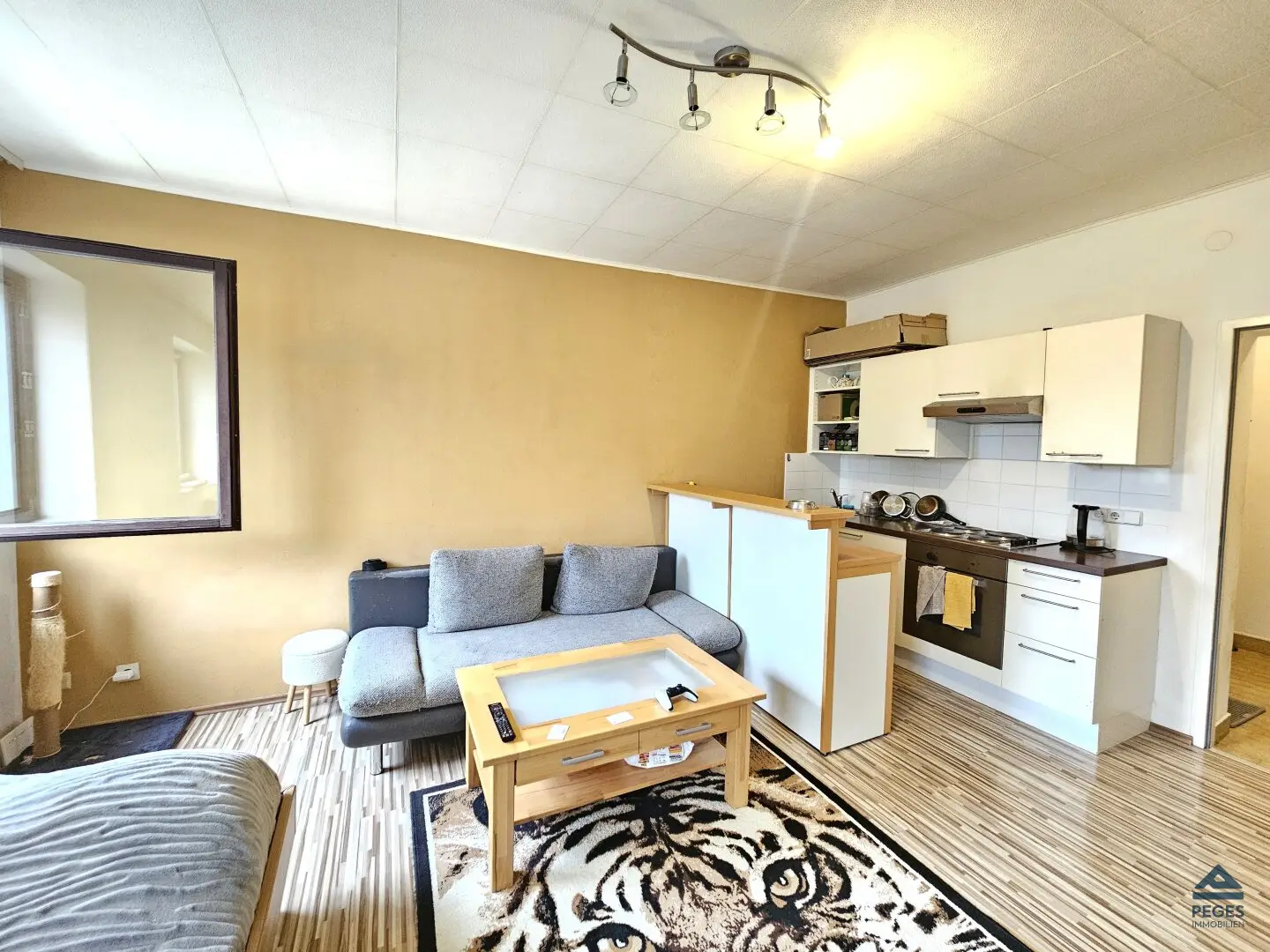 SINGLE: Garconniere in Grödig