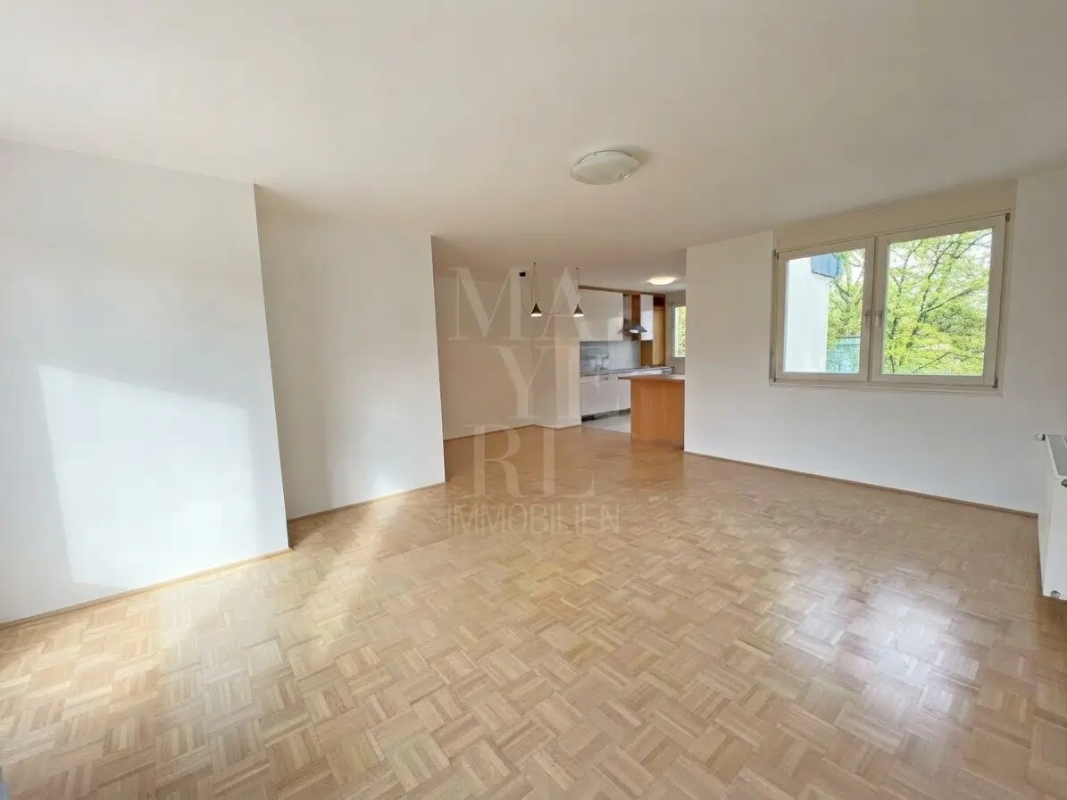 Attic apartment with 2 terraces near Schrutkagasse