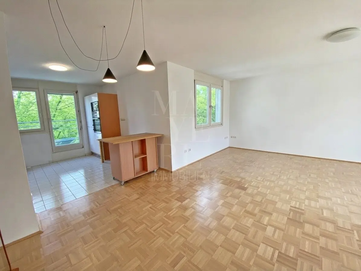 Attic apartment with 2 terraces near Schrutkagasse