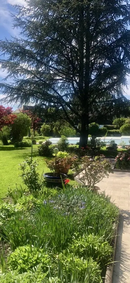 Immobilienbild 3