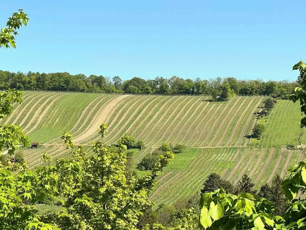 Top 1 – 200 m² Wohnen und Arbeiten unter einem Dach in Neustift am Walde, unter 6.000€/qm, BJ 1993