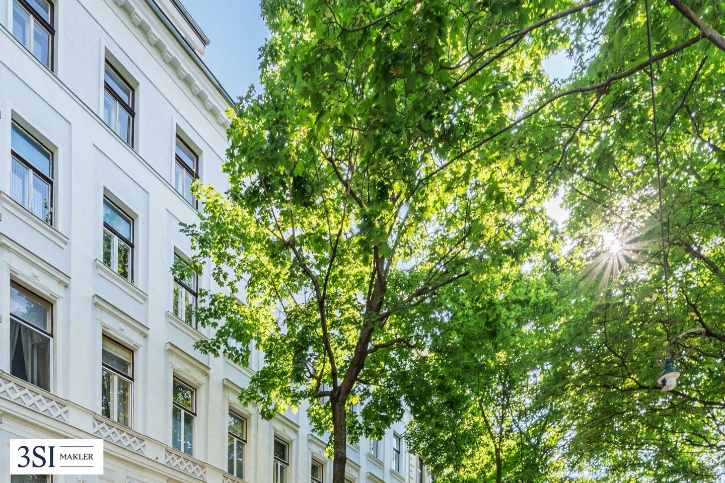 Renovated investor apartment with park view