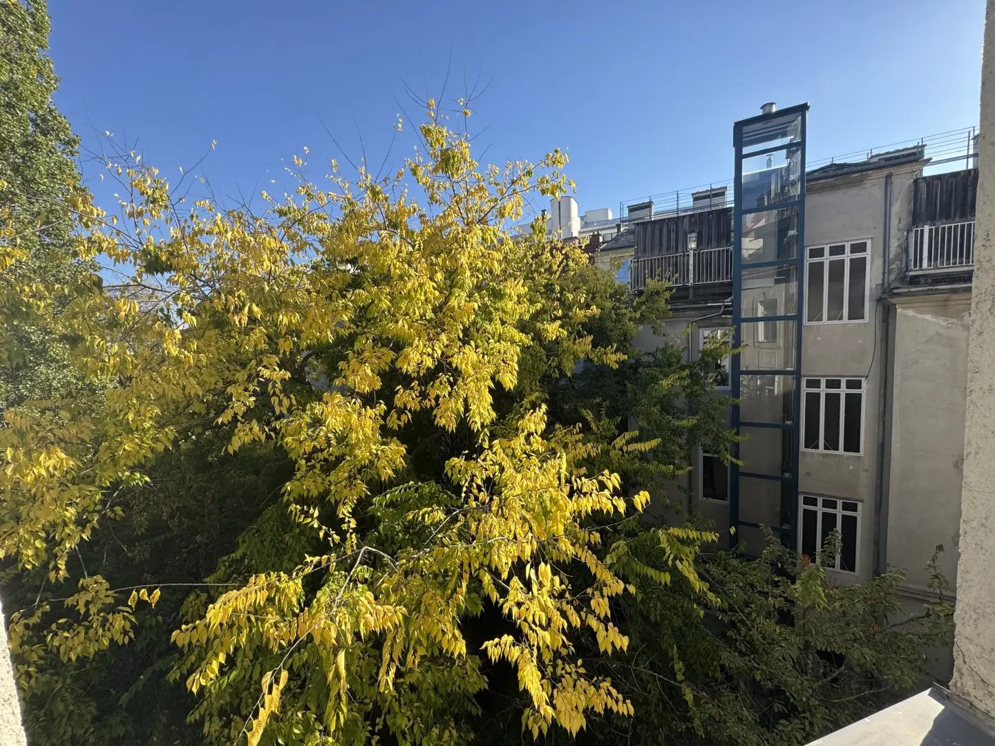 NEW! Absolute quiet location! Renovated 1.5 room apartment! Entirely facing the courtyard!