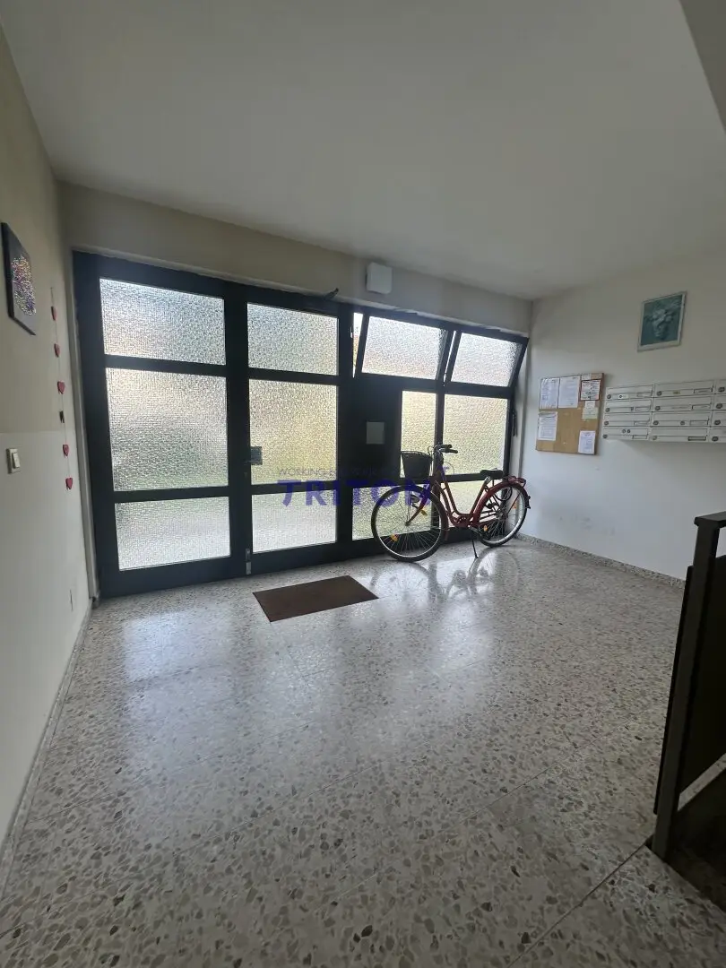 Familienhit in Eisenstadt – 4 Zimmer, 2 Kinderzimmer &amp; sonnige Loggia