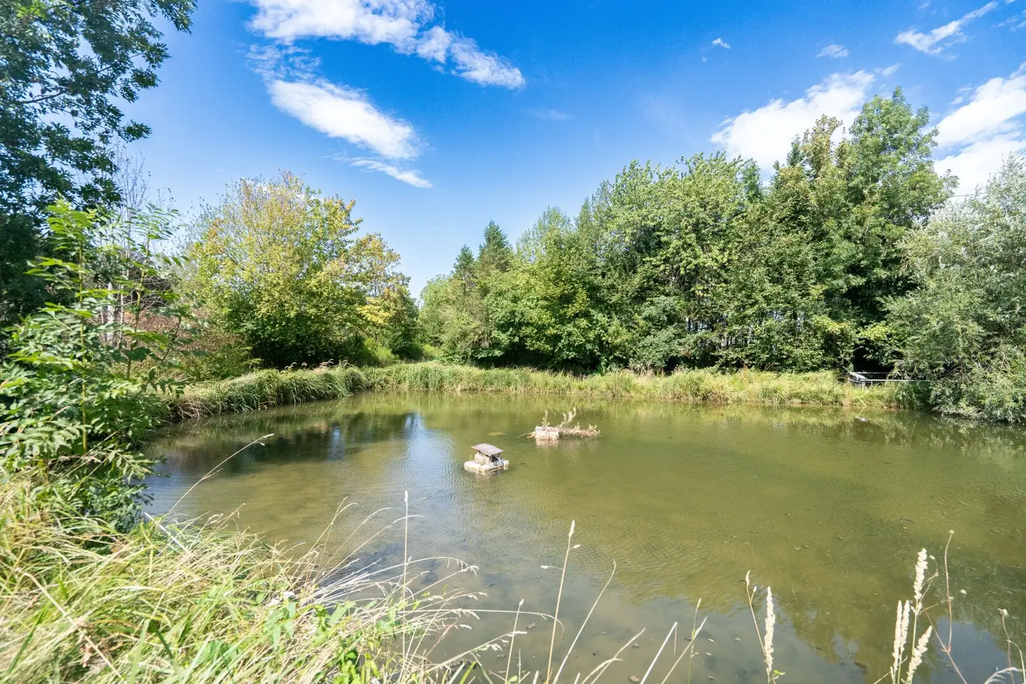 Naturidylle in Neuhofen an der Krems – Grundstück mit eigenem Fischteich