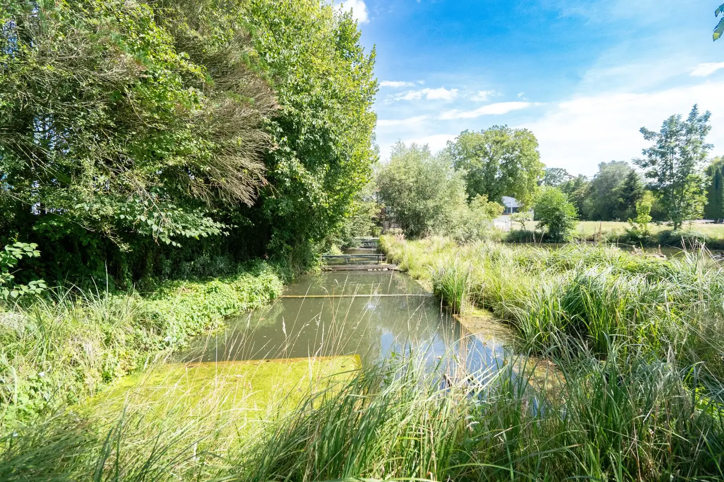 Naturidylle in Neuhofen an der Krems – Grundstück mit eigenem Fischteich
