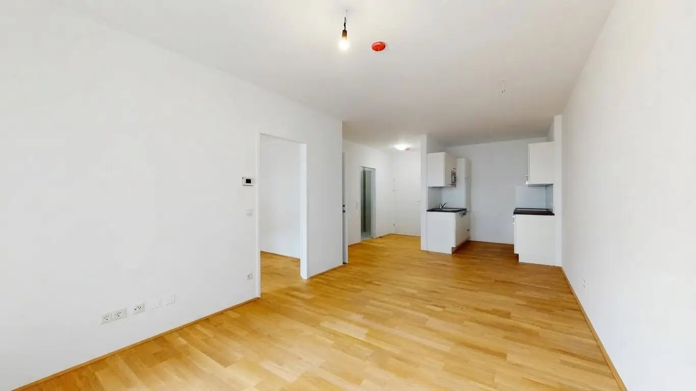 2-room new build apartment with balcony in Herzfelderhof in Wiener Neudorf
