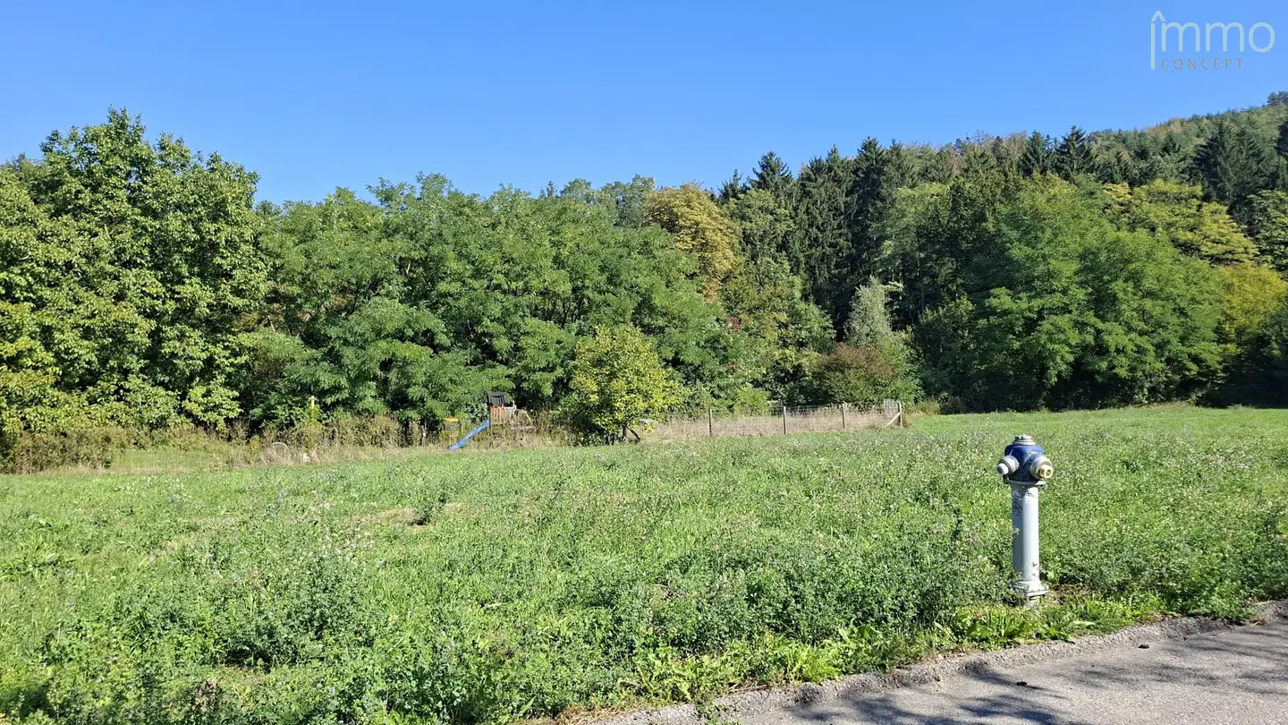 Sunny, level plot in a quiet residential area