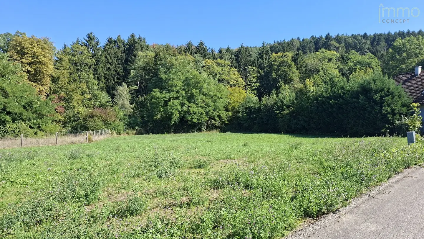 Sunny, level plot in a quiet residential area