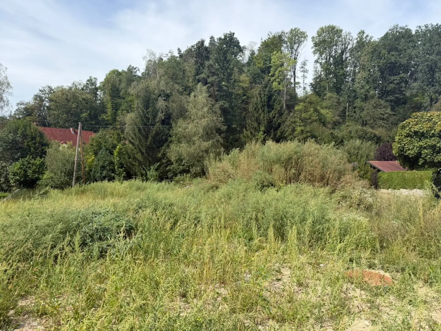 Attraktives Baugrundstück in ruhiger Lage in Ottensheim