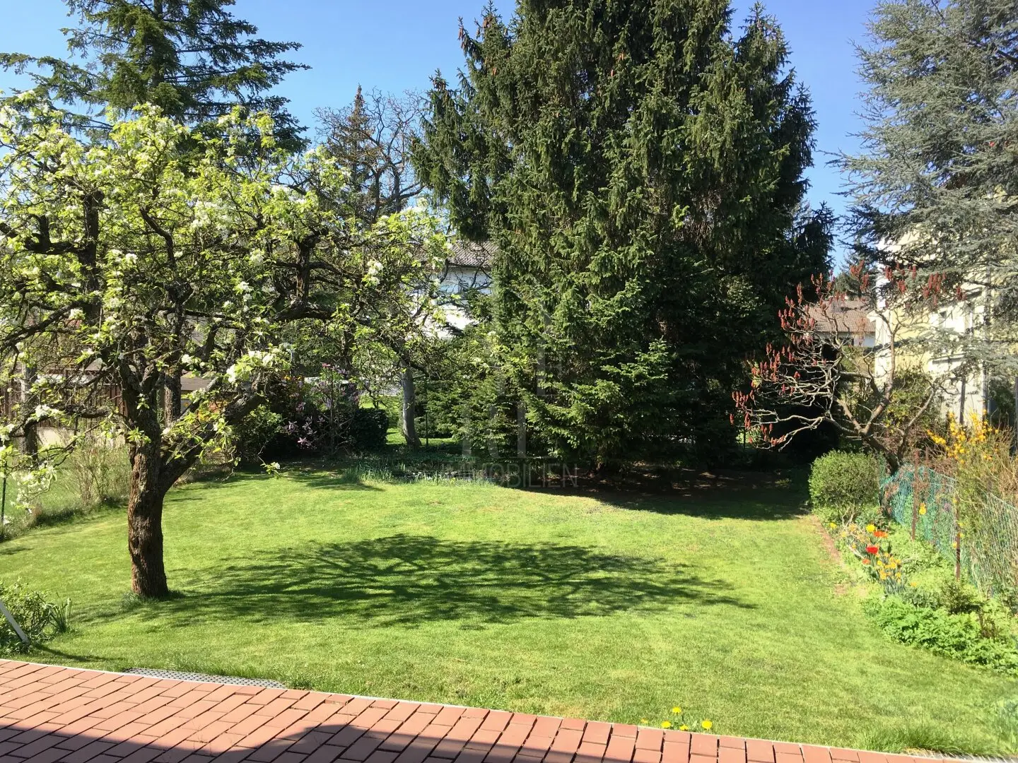 Spacious single-family house in quiet green location near Wittgensteinstraße and Speisinger Straße
